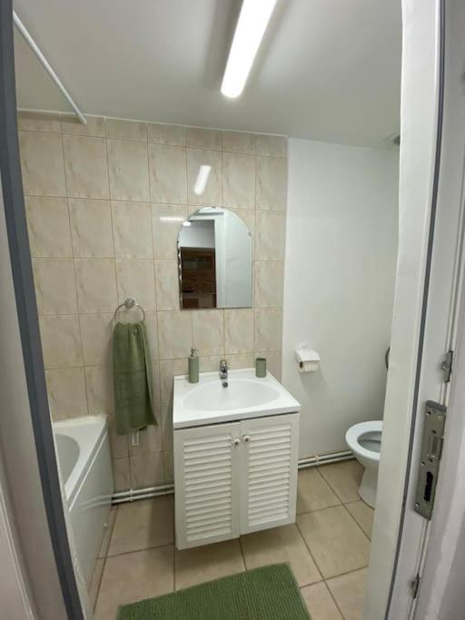 House Apartment In Timisoara Exterior foto